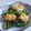 きらり流れ星's cooksnap of when they made 十六ささげ豆のバター炒め.