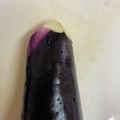 ねこみんぐ's cooksnap of when they made 経済的！茄子のヘタ取り.