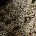 kinkinsan's cooksnap of when they made 休日ランチに！神戸風そばめし！.