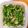 やきもろこし's cooksnap of when they made じゃこと塩昆布のやみつきピーマン炒め.