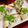 ルぴあ's cooksnap of when they made しらすとモッツァレラの和風ピザ.