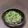 Nilmini's cooksnap of when they made パセリとしらすの洋風カリッとふりかけ.