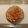 クック7T03AJ☆'s cooksnap of when they made 薔薇のようなアップルパイ.
