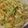 しそゆな's cooksnap of when they made *炒め蒸しの美味しいキャベツ*.