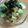 徹嫁っち's cooksnap of when they made 簡単一品♡アボカドのなめたけ和え.