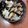 ももはるよし's cooksnap of when they made 台湾混ぜご飯.