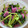 お塩と砂糖's cooksnap of when they made ☆さくら和え☆.
