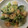 かおり♡♡♡'s cooksnap of when they made 簡単・おいしい・揚げない♪　エビマヨ.