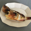 まれ子's cooksnap of when they made カサゴが釣れたらカサゴの塩焼き！.