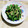 nana_tenjo's cooksnap of when they made 【基本の和食】いんげんの胡麻和え.