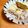 CZKO's cooksnap of when they made 塩豚とじゃがいもの煮込み.