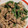 かなはは☆'s cooksnap of when they made 簡単料理♪【豚といんげんのマヨポン炒め】.