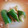 キンワ's cooksnap of when they made きゅうりの漬物（簡単浅漬け黄金比）.
