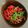 ひさかた's cooksnap of when they made きんぴらトマト丼.