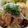 yumi3030's cooksnap of when they made 鶏照り焼き丼.