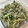 しげその's cooksnap of when they made もやしときゅうりのナムル風ゆかり和え.