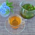 Y✿えくぼ飯's cooksnap of when they made レモンバームとミント入りのジャスミン茶.