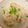タイガーりり's cooksnap of when they made タコしらす炊き込みご飯.