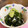 シャネリン's cooksnap of when they made 湯通しワカメとしらすの酢の物.
