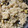 snowy08's cooksnap of when they made サザエの炊き込みご飯.