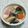 ❀さちりん❀'s cooksnap of when they made おもてなし★金沢郷土料理治部煮.