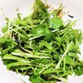 naga_sato's cooksnap of when they made 簡単！旨い！　✿水菜のサラダ✿.