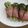 3姉妹ちゃんママ's cooksnap of when they made 茎まで食べるブロッコリーのベーコン巻き.
