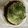 クックMVXCM0☆'s cooksnap of when they made 抹茶のティラミスタルト.
