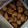 もりのりころ's cooksnap of when they made みんなが喜ぶ！簡単やわらか 豚の角煮.