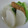 由芽15's cooksnap of when they made かぶとソーセージのコンソメミルクスープ♪.