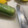 meisouママ's cooksnap of when they made とうもろこしがきれいにむけるむきかた☆.