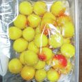ひなたのねこやなぎ's cooksnap of when they made ジップロックde本格梅干し★減塩12％.