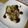kira001's cooksnap of when they made 豚肉のキャベツロール巻き.