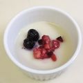 mami99's cooksnap of when they made 豆腐＆ヨーグルトでレアチーズケーキ風♪.