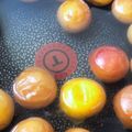 クック5DGC25☆'s cooksnap of when they made 梅ジュース【変色梅救済】.
