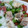 ちっちゃいもんクラブ's cooksnap of when they made 鶏もも肉とおろし大根の梅和え.