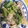 ゆみっち先生's cooksnap of when they made 簡単☆鶏肉と小松菜の塩レモン炒め.