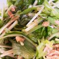 siicook's cooksnap of when they made モリモリ食べれる水菜とシーチキンのサラダ.