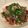 chou*'s cooksnap of when they made 絶品☆フライパンでまぐろの漬けステーキ.
