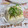 mmameco's cooksnap of when they made 簡単5分・ちりめんじゃことネギの冷奴.