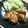 ねっちゃんっ's cooksnap of when they made 豚肉切落しで生姜焼き♪.
