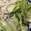 ベティ３'s cooksnap of when they made パパっと5分で　レタスと塩昆布のサラダ.