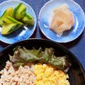 なっさん姫's cooksnap of when they made 新生姜の甘酢漬け.