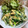 ✿ykyk✿'s cooksnap of when they made ニラと卵の炒め物.