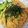 Packnman's cooksnap of when they made ＊混ぜるだけ！たらこパスタ＊.