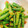 りーとぽん's cooksnap of when they made いんげんの胡麻和え.
