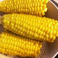 豆乳pudding's cooksnap of when they made 農家究極のとうもろこしの茹で方！.