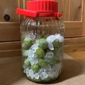 月の影と海's cooksnap of when they made 梅シロップ＊冷凍梅＆酢で早のみ美味.