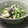 きっかママ's cooksnap of when they made しめじといんげんの柚子胡椒マヨ和え.