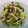 クックLDX6TD☆'s cooksnap of when they made みょうがと三つ葉の胡麻おかか和え.